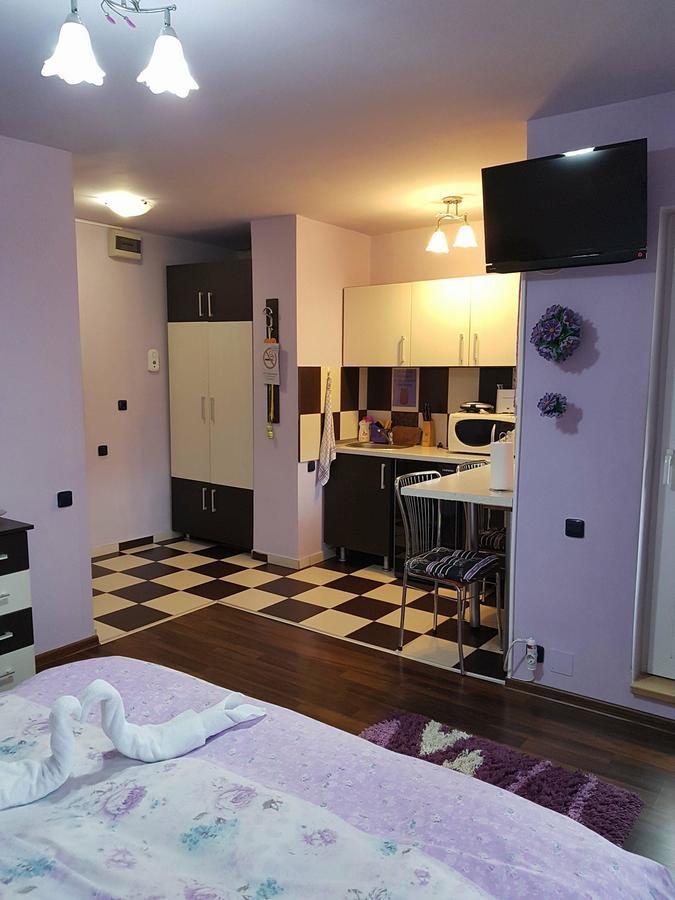 Garsoniera Cristina Lägenhet Băile Felix Exteriör bild
