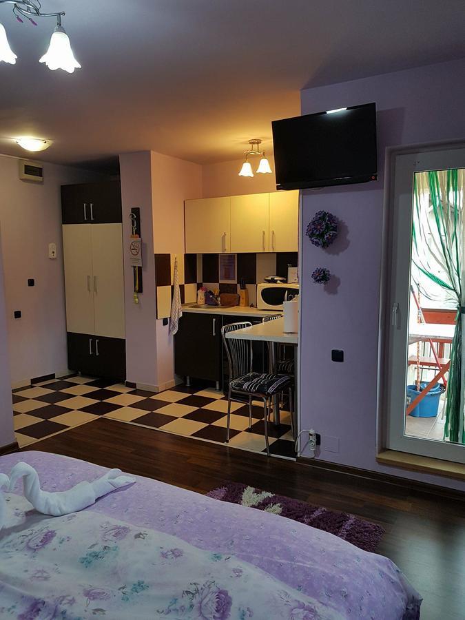 Garsoniera Cristina Lägenhet Băile Felix Exteriör bild
