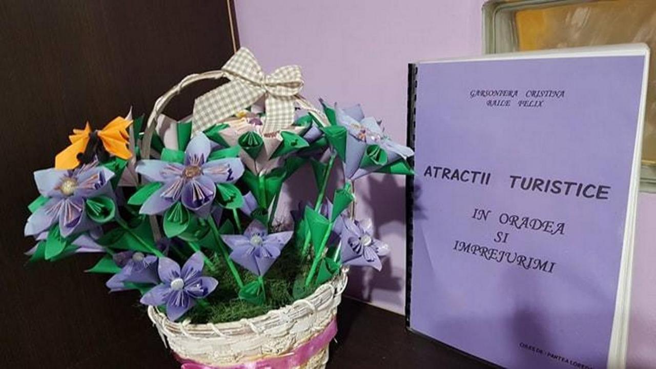 Garsoniera Cristina Lägenhet Băile Felix Exteriör bild
