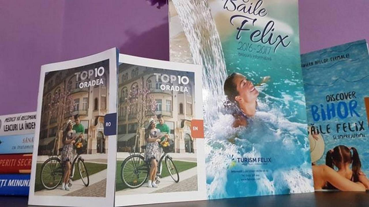 Garsoniera Cristina Lägenhet Băile Felix Exteriör bild